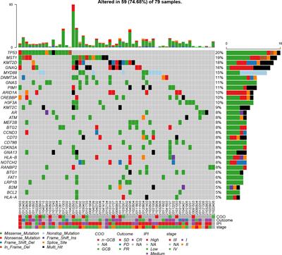 SEPT6_TRIM33 Gene Fusion and Mutated TP53 Pathway Associate With Unfavorable Prognosis in Patients With B-Cell Lymphomas